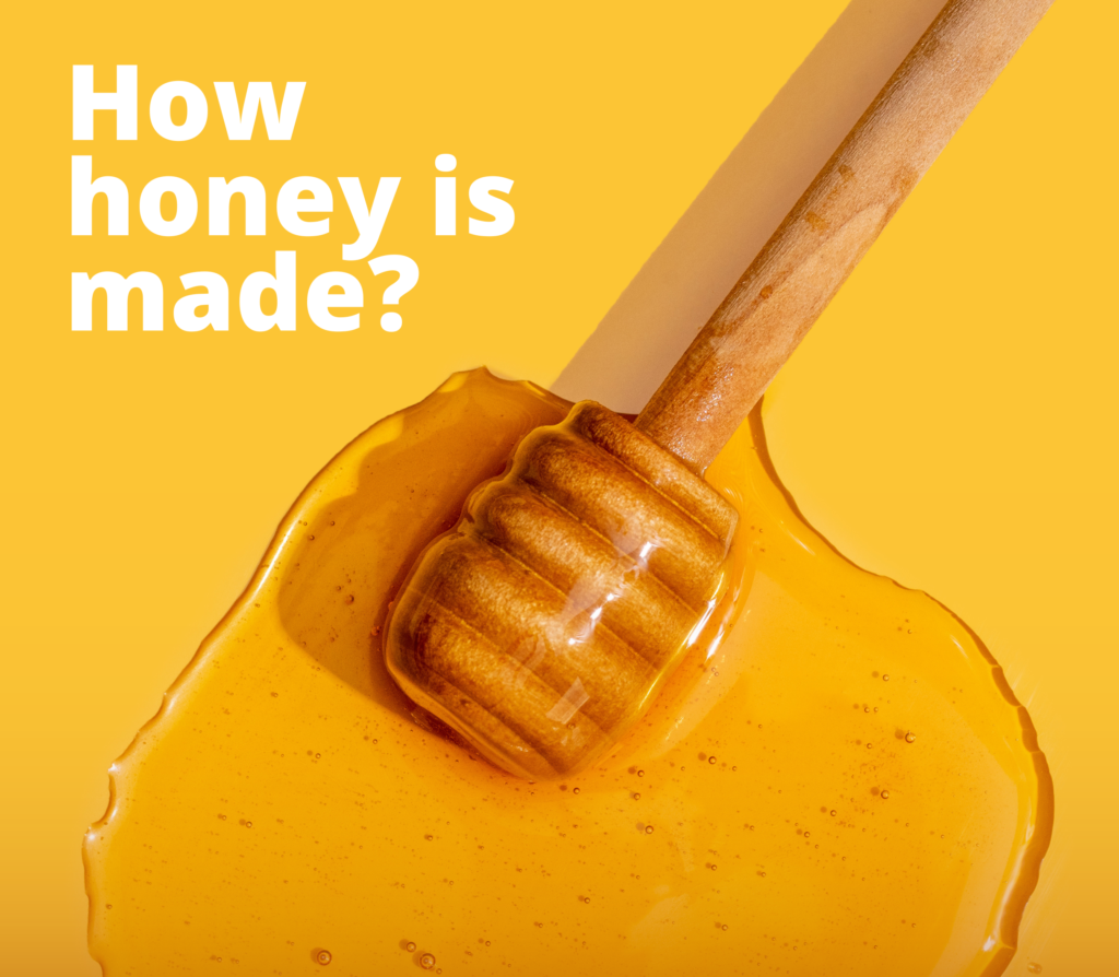 how honey is made - binh an honey